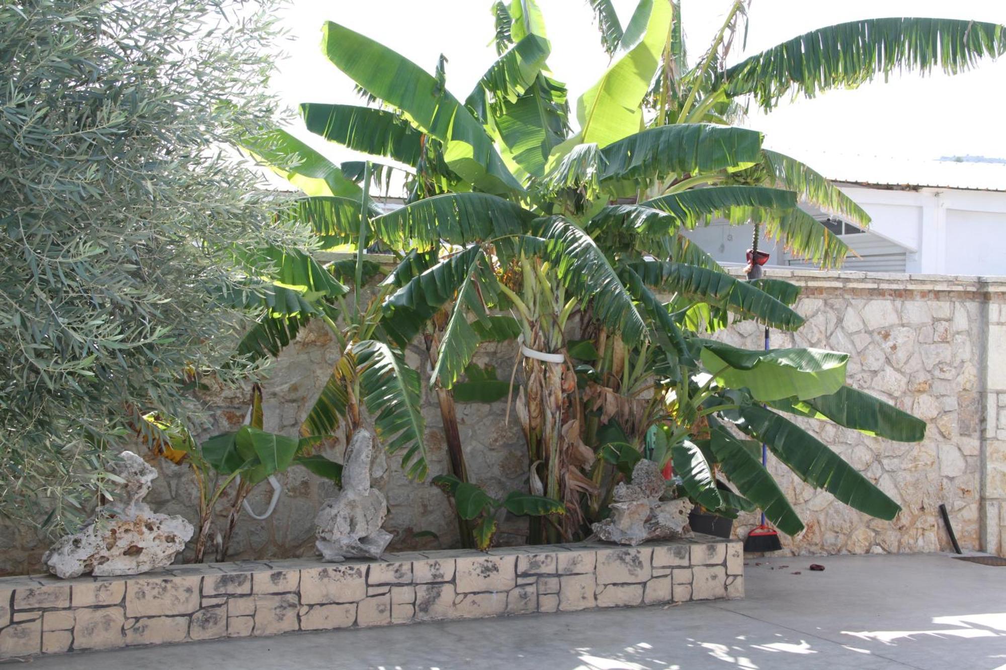 Αριων Village & Suites Nafplio Exterior foto
